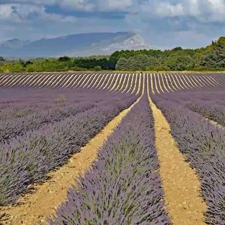 Appartamento Climatise Aix En Provence - Parking Gratuit *
